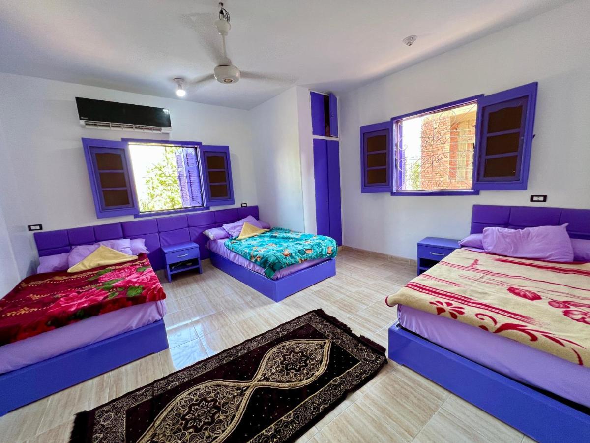 Ghalia Guest House Aswan Ngoại thất bức ảnh